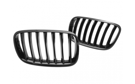 Решетка радиатора BMW X5 (E70)