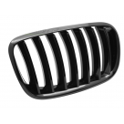 Решетка радиатора BMW X5 (E70)