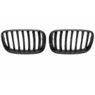 Решетка радиатора BMW X5 (E70)