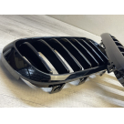 Решетка радиатора BMW X5 (F15)