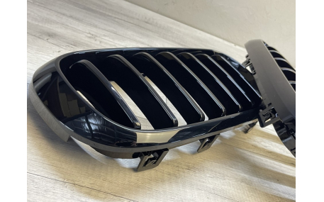 Решетка радиатора BMW X5 (F15)