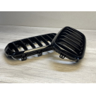 Решетка радиатора BMW X5 (F15)