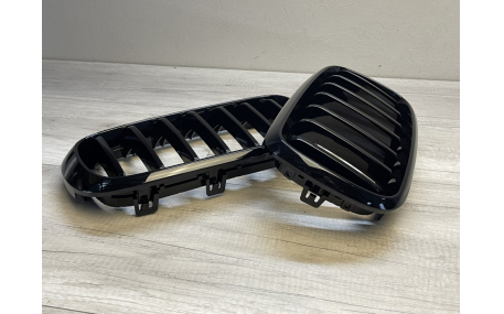 Решетка радиатора BMW X5 (F15)