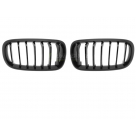 Решетка радиатора BMW X5 (F15)