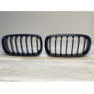 Решетка радиатора BMW X5 (F15)