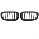 Решетка радиатора BMW X5 (F15)