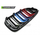 Решетка радиатора BMW 6 (F12)