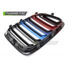 Решетка радиатора BMW X1 E84 2009-2012