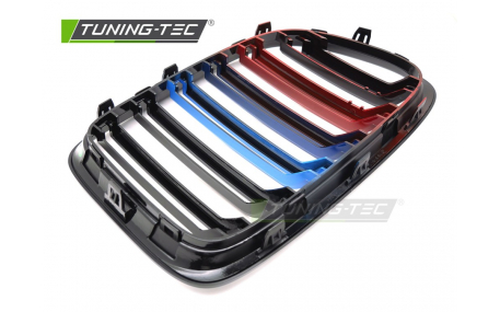 Решетка радиатора BMW X1 E84 2009-2012