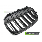 Решетка радиатора BMW X1 F48 2015-2019