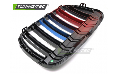 Решетка радиатора BMW X1 F48 2015-2019