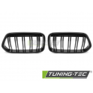 Решетка радиатора BMW X2 (F39)