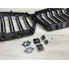 Решетка радиатора BMW X6 G06 2020-2023