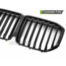 Решетка радиатора BMW X7 (G07) 2018-2023