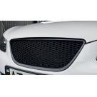Решетка радиатора Seat Ibiza 2008-2012