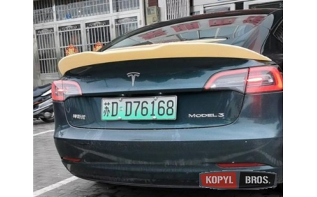 Спойлер Tesla Model 3