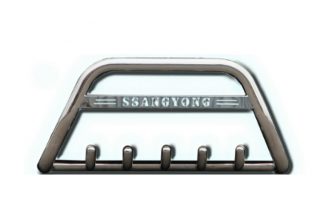 Защита передняя Hyundai ix35