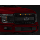 Решетка радиатора Ford F150 2017-2020