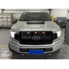 Решетка радиатора Ford F150 2017-2020