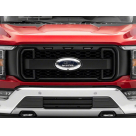 Решетка радиатора Ford F150 2021-2024