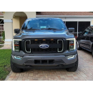 Решетка радиатора Ford F150 2021-2024