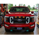 Решетка радиатора Ford F150 2021-2024