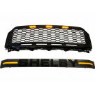 Решетка радиатора Ford F150 2021-2024