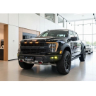 Решетка радиатора Ford F150 2021-2024