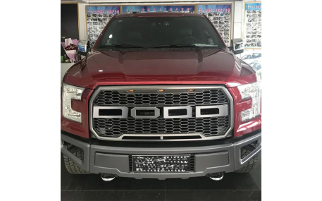 Решетка радиатора Ford F150 2015-2017
