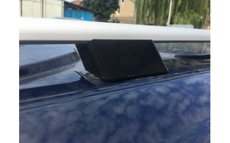 Рейлинги Ford Custom