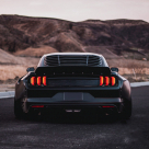 Фонари задние Ford Mustang