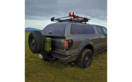 Фонари задние Ford F150