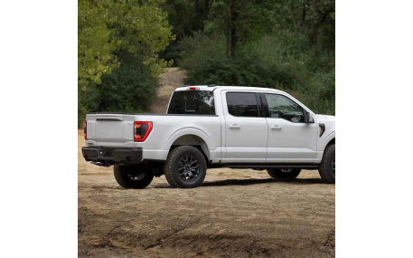 Фонари задние Ford F150