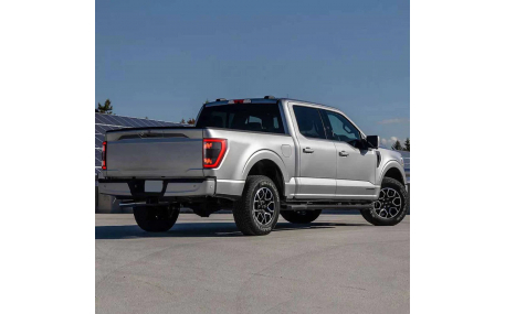 Фонари задние Ford F150
