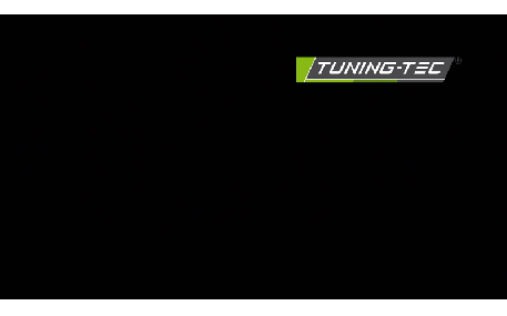 Фонари задние Mitsubishi Lancer X