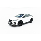 Пороги Lexus RX 2019-2022