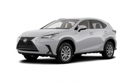 Брызговики Lexus NX300 2018-2021