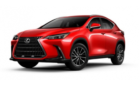 Брызговики Lexus NX 2021-2024