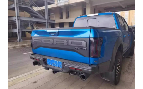 Фонари задние Ford F150