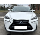 Решетка радиатора Lexus NX 2014-2017