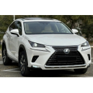 Решетка радиатора Lexus NX 2018-2021