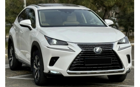Решетка радиатора Lexus NX 2018-2021