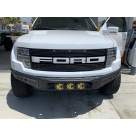 Фары передние Ford F150