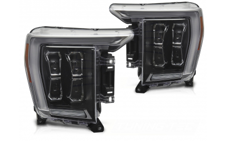 Фары передние Ford F150