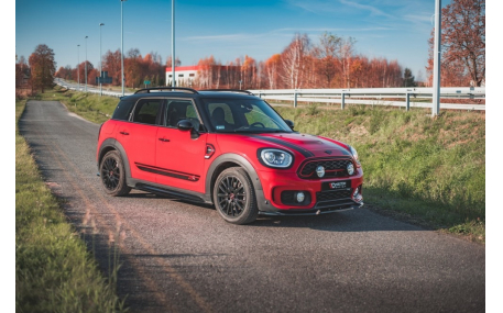 Накладки на пороги Mini Countryman
