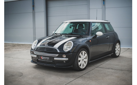 Накладки на пороги MINI (COOPER)