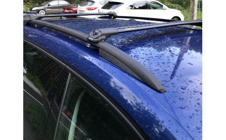 Багажник на крышу Turtle AIR 1