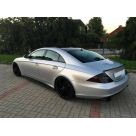 Пороги Mercedes CLS-class W219
