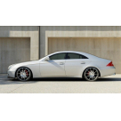 Пороги Mercedes CLS-class W219