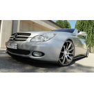 Пороги Mercedes CLS-class W219